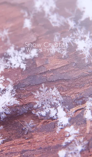 [LINE着せ替え] Snow Crystal Wood Type 6-3の画像1