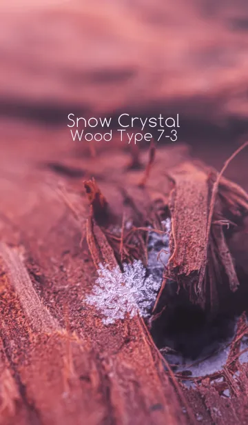 [LINE着せ替え] Snow Crystal Wood Type 7-3の画像1