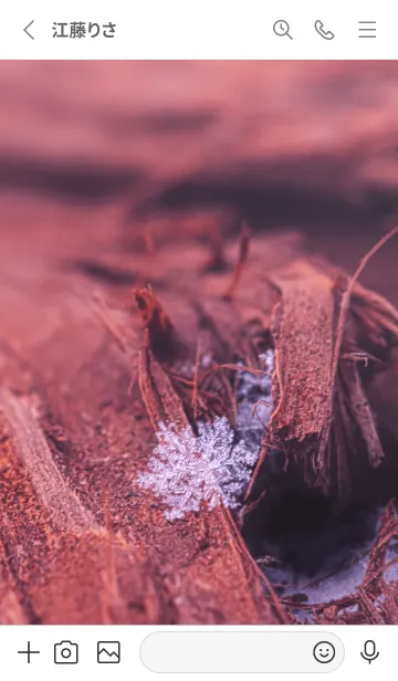 [LINE着せ替え] Snow Crystal Wood Type 7-3の画像2