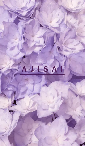 [LINE着せ替え] AJISAI-Purple Flower 22の画像1