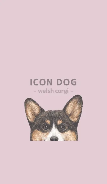 [LINE着せ替え] ICON DOG - コーギー 01 - PASTEL PK/04の画像1