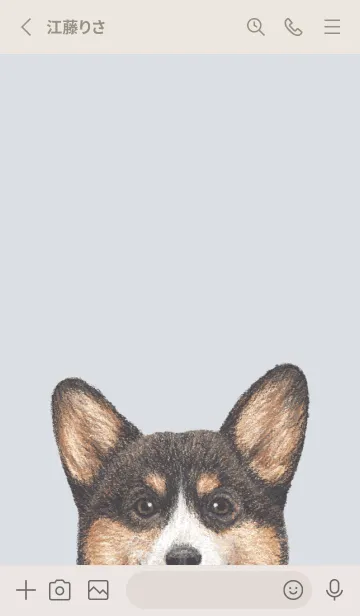 [LINE着せ替え] ICON DOG - コーギー 01 - PASTEL BL/04の画像2