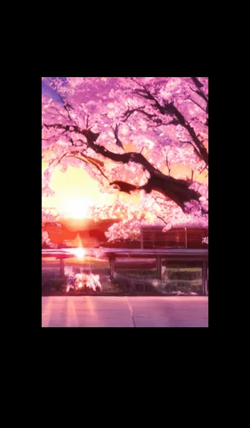 [LINE着せ替え] 桜の花咲く頃#AS_23。の画像1
