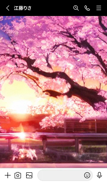 [LINE着せ替え] 桜の花咲く頃#AS_23。の画像2