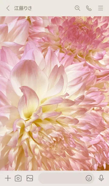 [LINE着せ替え] DAHLIA-Pink Beige Flower 32の画像2