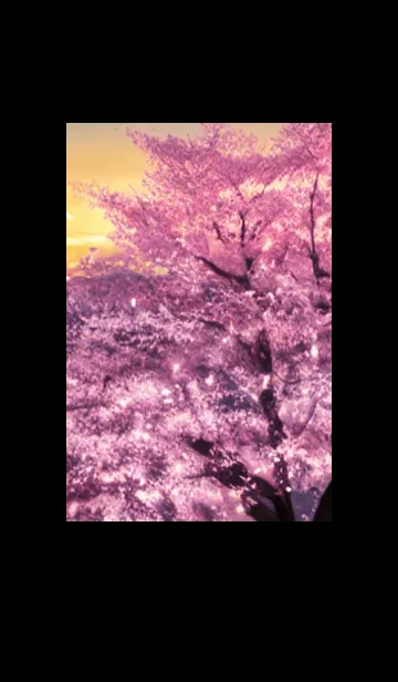 [LINE着せ替え] 桜の花咲く頃#AS_24。の画像1