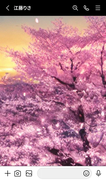 [LINE着せ替え] 桜の花咲く頃#AS_24。の画像2