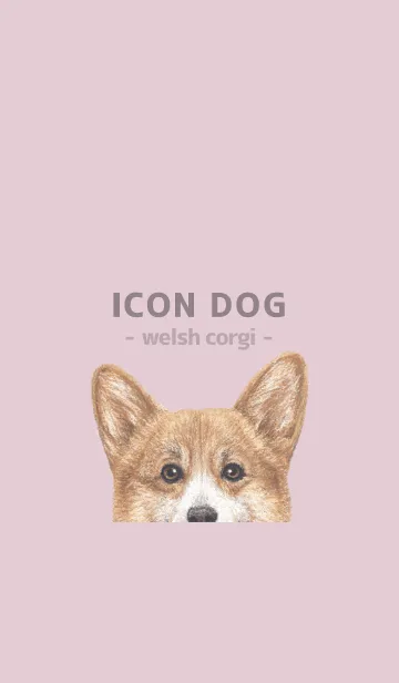 [LINE着せ替え] ICON DOG - コーギー 01 - PASTEL PK/05の画像1