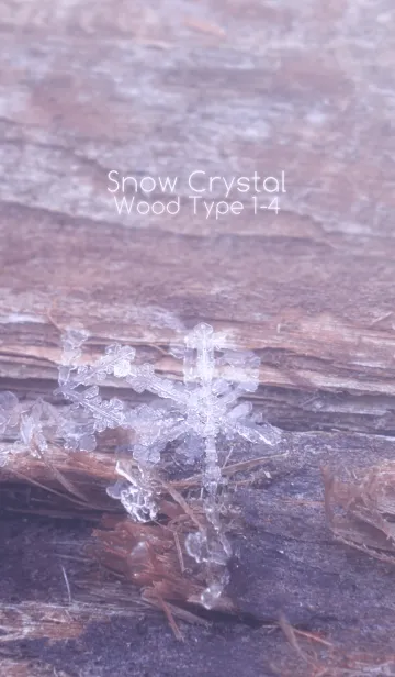 [LINE着せ替え] Snow Crystal Wood Type 1-4の画像1