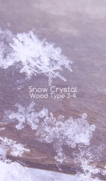 [LINE着せ替え] Snow Crystal Wood Type 3-4の画像1