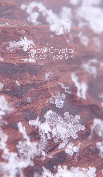 [LINE着せ替え] Snow Crystal Wood Type 5-4の画像1