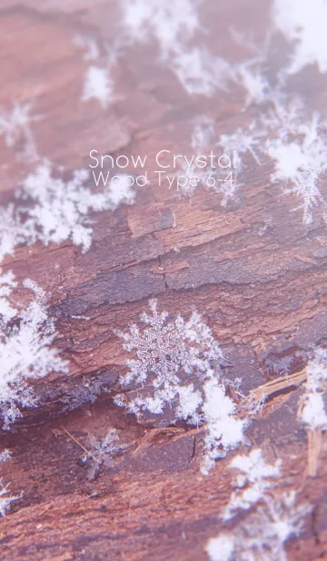 [LINE着せ替え] Snow Crystal Wood Type 6-4の画像1