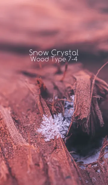 [LINE着せ替え] Snow Crystal Wood Type 7-4の画像1