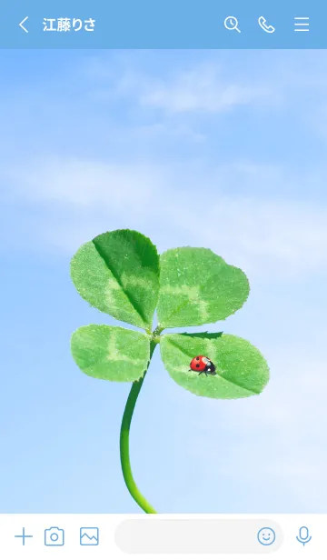 [LINE着せ替え] 四つ葉のクローバーとテントウムシ #22の画像2