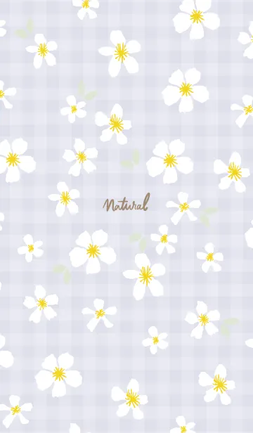 [LINE着せ替え] 白い花 大人カラー7の画像1