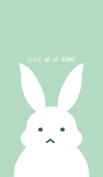 [LINE着せ替え] シンプルバニー/ミントグリーン/ベージュの画像1