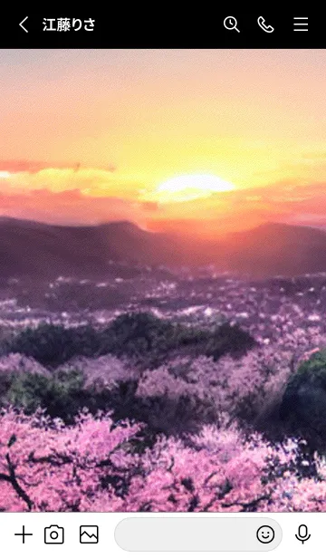 [LINE着せ替え] 桜の花咲く頃#At_23。の画像2