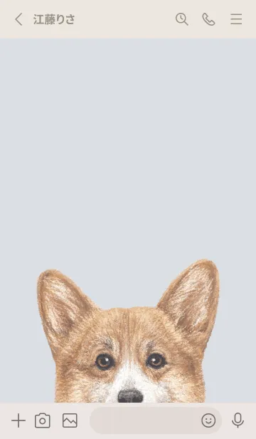 [LINE着せ替え] ICON DOG - コーギー 01 - PASTEL BL/05の画像2