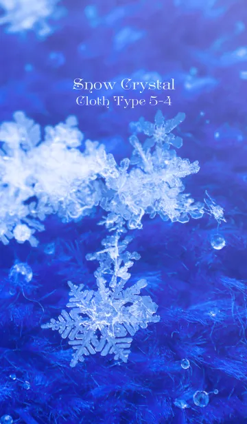 Snow Crystal Cloth Type 5-4の着せ替えメイン画像