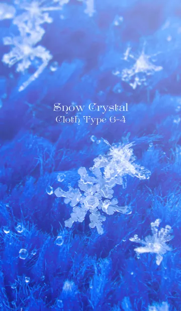 [LINE着せ替え] Snow Crystal Cloth Type 6-4の画像1