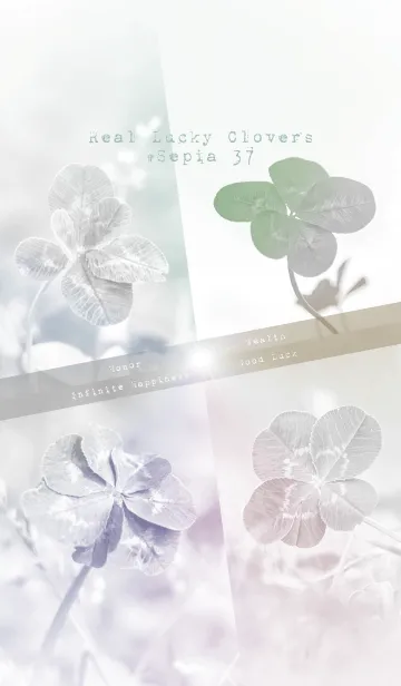[LINE着せ替え] Real Lucky Clovers #sepia 37の画像1