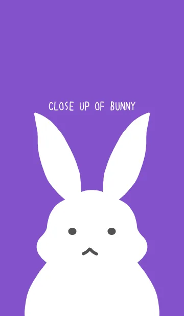 [LINE着せ替え] シンプルバニー/パープル/イエローの画像1