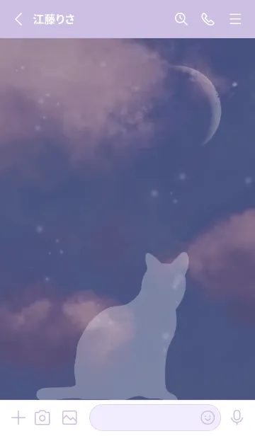 [LINE着せ替え] 月夜と猫の画像2