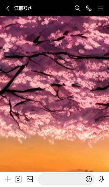 [LINE着せ替え] 桜の花咲く頃#BW05。の画像2