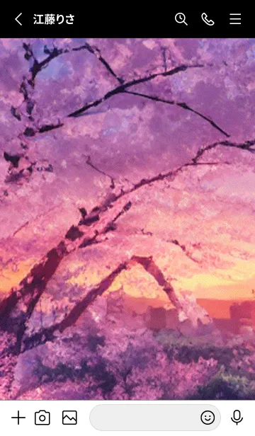 [LINE着せ替え] 桜の花咲く頃#BW023。の画像2