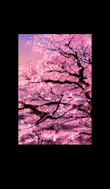[LINE着せ替え] 桜の花咲く頃#BW015。の画像1