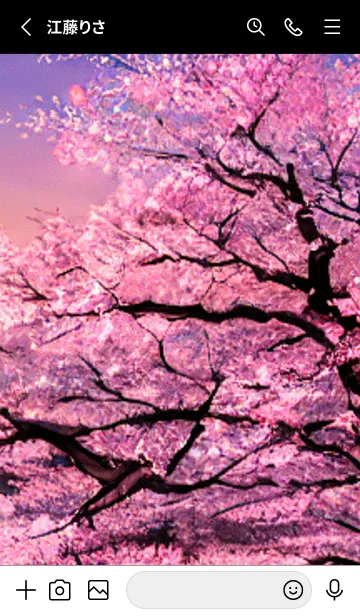 [LINE着せ替え] 桜の花咲く頃#BW015。の画像2