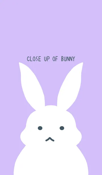 [LINE着せ替え] シンプルバニー/ラベンダーカラーの画像1