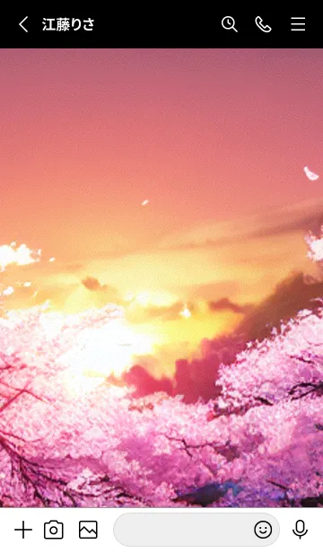 [LINE着せ替え] 桜の花咲く頃#BX08。の画像2