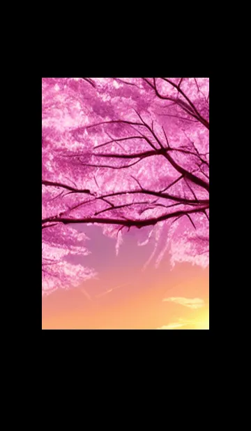 [LINE着せ替え] 桜の花咲く頃#BX013。の画像1