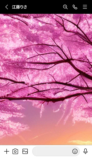 [LINE着せ替え] 桜の花咲く頃#BX013。の画像2