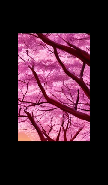 [LINE着せ替え] 桜の花咲く頃#BX030。の画像1