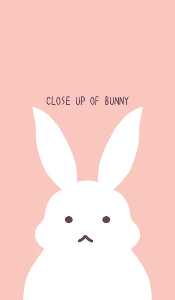 [LINE着せ替え] シンプルバニーの着せかえ/ベビーピンクの画像1