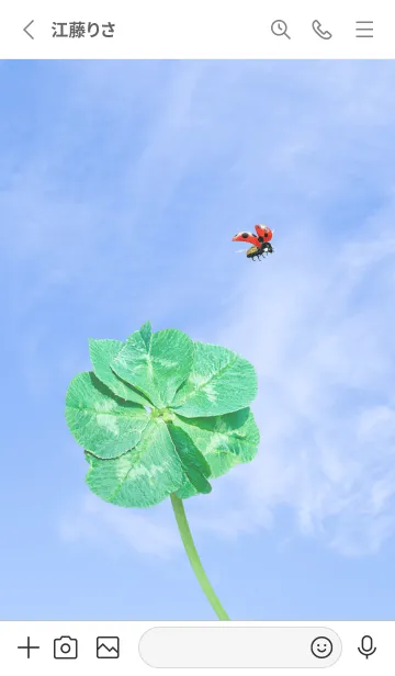 [LINE着せ替え] 七つ葉のクローバーとテントウムシ #23の画像2