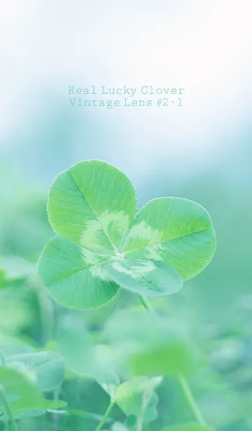 [LINE着せ替え] 四つ葉のクローバー Vintage Lens #2-1の画像1