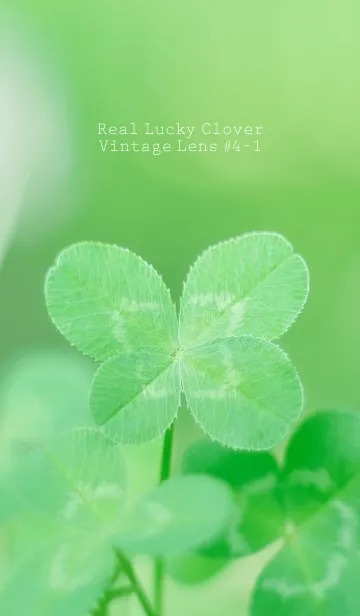 [LINE着せ替え] 四つ葉のクローバー Vintage Lens #4-1の画像1