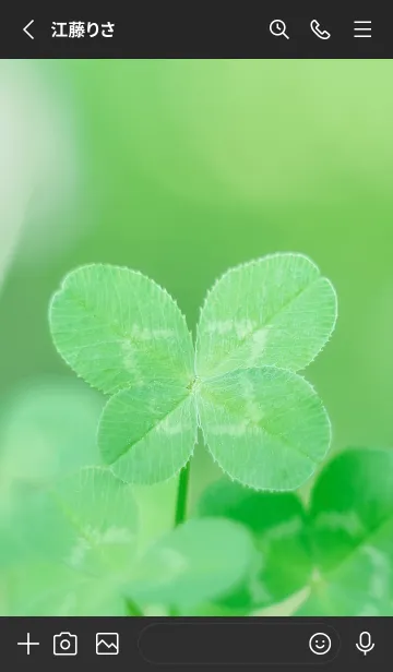 [LINE着せ替え] 四つ葉のクローバー Vintage Lens #4-1の画像2
