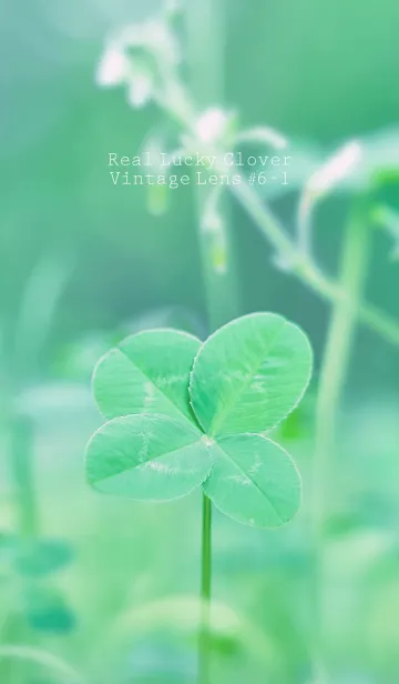 [LINE着せ替え] 四つ葉のクローバー Vintage Lens #6-1の画像1