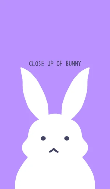 [LINE着せ替え] シンプルバニー/パステルパープルの画像1