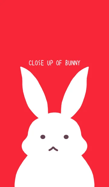 [LINE着せ替え] シンプルバニー/蛍光レッド/ブラックの画像1