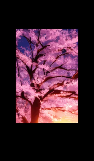 [LINE着せ替え] 桜の花咲く頃#BY024。の画像1