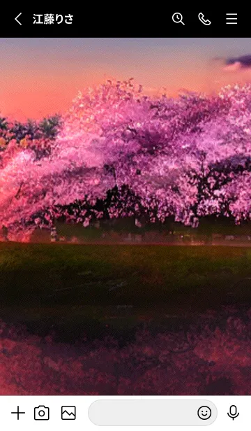 [LINE着せ替え] 桜の花咲く頃#BY022。の画像2