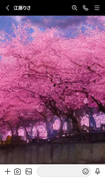 [LINE着せ替え] 桜の花咲く頃#BY018。の画像2