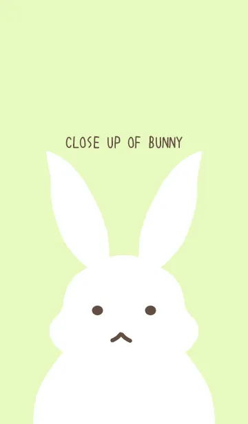 [LINE着せ替え] シンプルバニー/ライトイエローグリーンの画像1