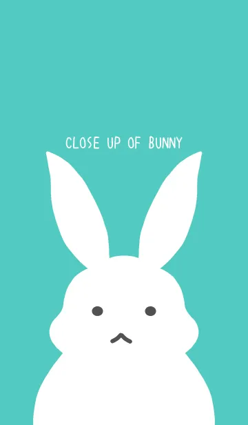 [LINE着せ替え] シンプルバニー/エメラルドグリーンの画像1