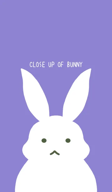 [LINE着せ替え] シンプルバニー/くすみブルーパープルの画像1